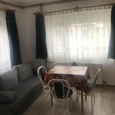 Apartment House On The Balatonfenyves